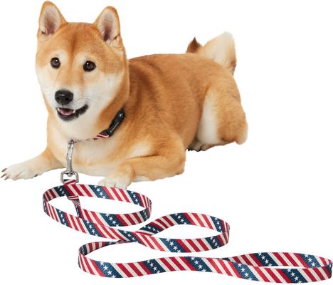 Show full view: Frisco American Flag Polyester Dog Leash, Medium: 6-ft long, 3/4-in wide slide 3 of 7