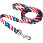 Frisco American Flag Polyester Dog Leash, Small: 6-ft long, 5/8-in wide
