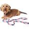 Show in main carousel: Frisco American Flag Polyester Dog Leash, Small: 6-ft long, 5/8-in wide slide 4 of 9