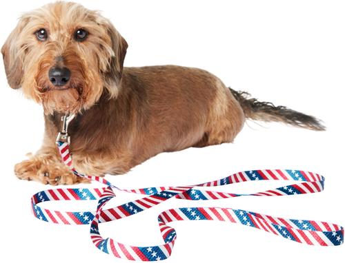 Show full view: Frisco American Flag Polyester Dog Leash, Small: 6-ft long, 5/8-in wide slide 4 of 9