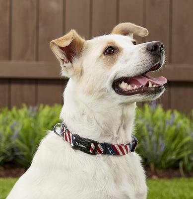 Show full view: Frisco American Flag Polyester Personalized Dog Collar, Medium: 14 to 20-in neck, 3/4-in wide slide 5 of 6