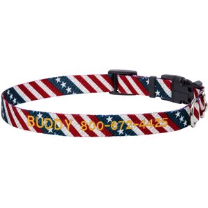 Frisco American Flag Polyester Personalized Dog Collar, Small: 10 to 14-in neck, 5/8-in wide
