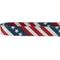 Show in main carousel: Frisco American Flag Polyester Personalized Dog Collar, Small: 10 to 14-in neck, 5/8-in wide slide 5 of 7