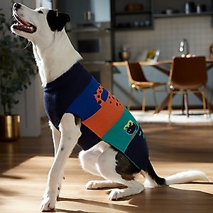 Frisco Anaconda Cheetah Colorblock Dog & Cat Sweater, Medium