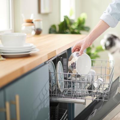 Show full view: Frisco Animal Design Stainless Steel Dog & Cat Bowl, Medium: 3 cup slide 7 of 8