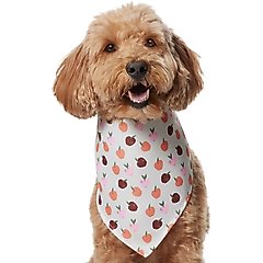 Frisco Apple Dog & Cat Bandana, Medium/Large
