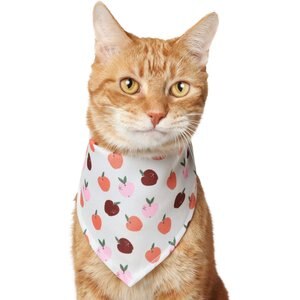 Frisco Fruity Summer Dog & Cat Bandana