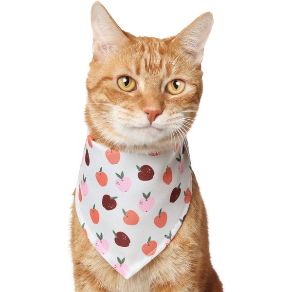 Frisco Pet of Honor Dog & Cat Bandana