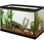 Best Betta Fish Tanks
