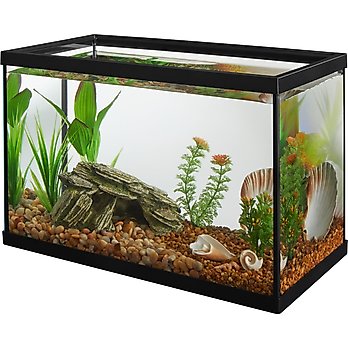 Gallon Fish Tank (Free Shipping) Chewy