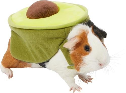 Show full view: Frisco Avocado Guinea Pig Costume, One Size, Green slide 1 of 7