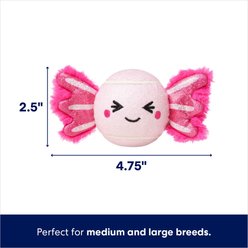 Frisco Fetch Squeaky Tennis Ball Dog Toy, Medium, Axolotl slide 2 of 5