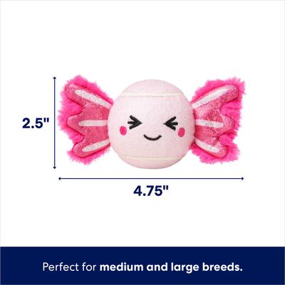 Show full view: Frisco Fetch Squeaky Tennis Ball Dog Toy, Medium, Axolotl slide 2 of 6