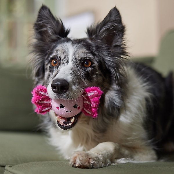 Show full view: Frisco Fetch Squeaky Tennis Ball Dog Toy, Medium, Axolotl slide 4 of 6