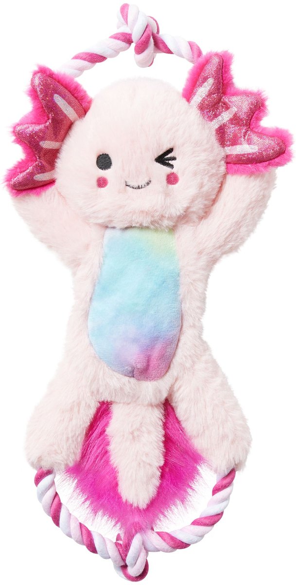 Frisco Axolotl Plush with Rope Squeaky Dog Toy