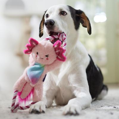 Show full view: Frisco Axolotl Plush with Rope Squeaky Dog Toy, Medium/Large slide 4 of 6