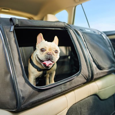 Frisco Frisco Backseat Expandable Cat & Dog Crate