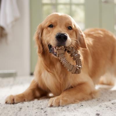 Show full view: Frisco Bacon Flavored Ring Nylon Chew Dog Toy for Heavy Chewers, Large/X-Large slide 5 of 10