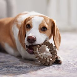 Frisco Bacon Flavored Ring Nylon Chew Dog Toy for Heavy Chewers, Small/Medium slide 2 of 8