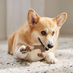 Frisco Bacon Flavored Wishbone Nylon Chew Dog Toy for Heavy Chewers, Medium slide 2 of 8