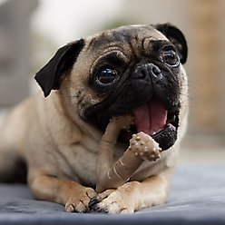 Frisco Bacon Flavored Wishbone Nylon Chew Dog Toy for Heavy Chewers, Small slide 2 of 8