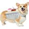 Show in main carousel: Frisco Banana Split Dessert Dog & Cat Costume, Large slide 1 of 10