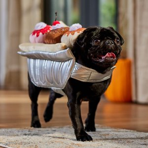 Frisco Banana Split Dessert Dog & Cat Costume, Medium