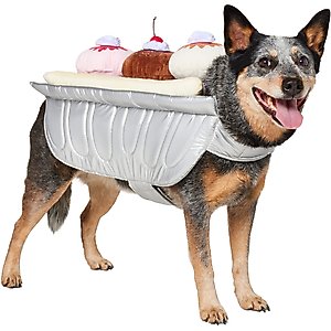 Frisco Banana Split Dessert Dog & Cat Costume, X-Large