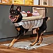 Show in main carousel: Frisco Banana Split Dessert Dog & Cat Costume, X-Large slide 7 of 10