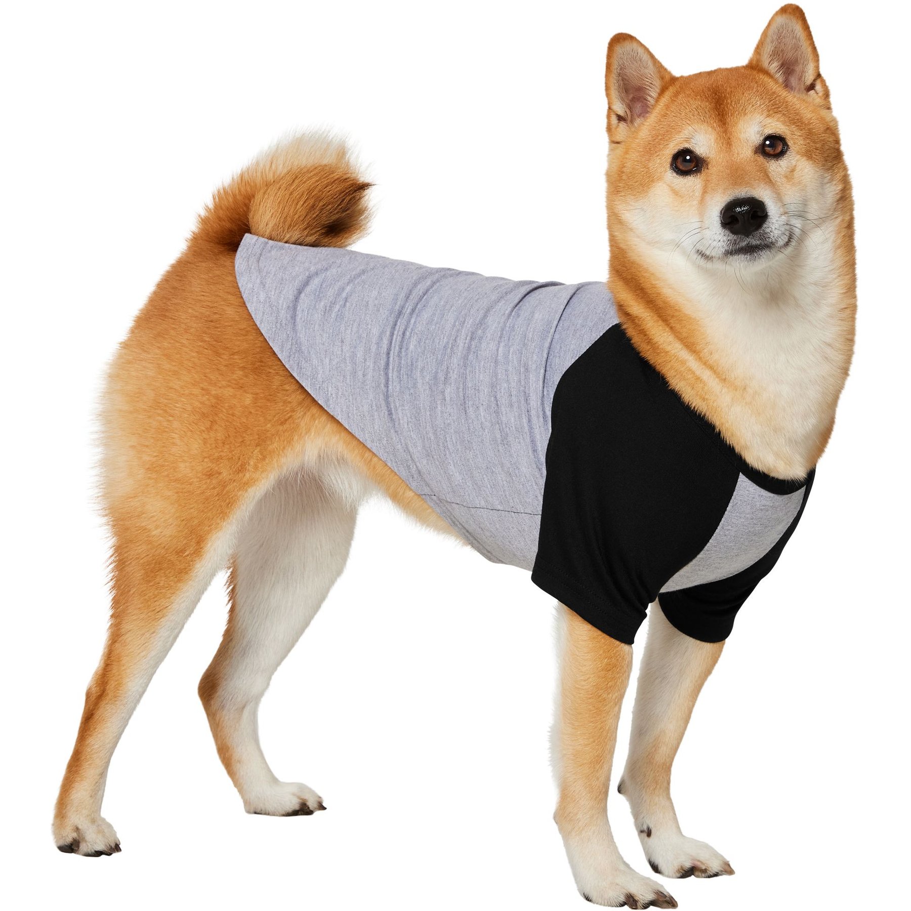 Frisco Baseball Dog & Cat T-Shirt, Black, Medium