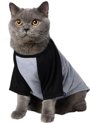 Show full view: Frisco Baseball Dog & Cat T-Shirt, Black, Medium slide 3 of 10