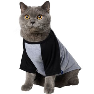 Frisco Baseball Dog & Cat T-Shirt, Black, Small