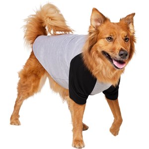 Frisco Baseball Dog & Cat T-Shirt, Black, X-Large