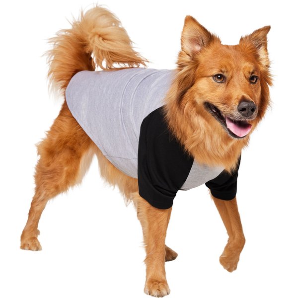 Pets First Michigan State Tee Shirt for Dogs and Cats