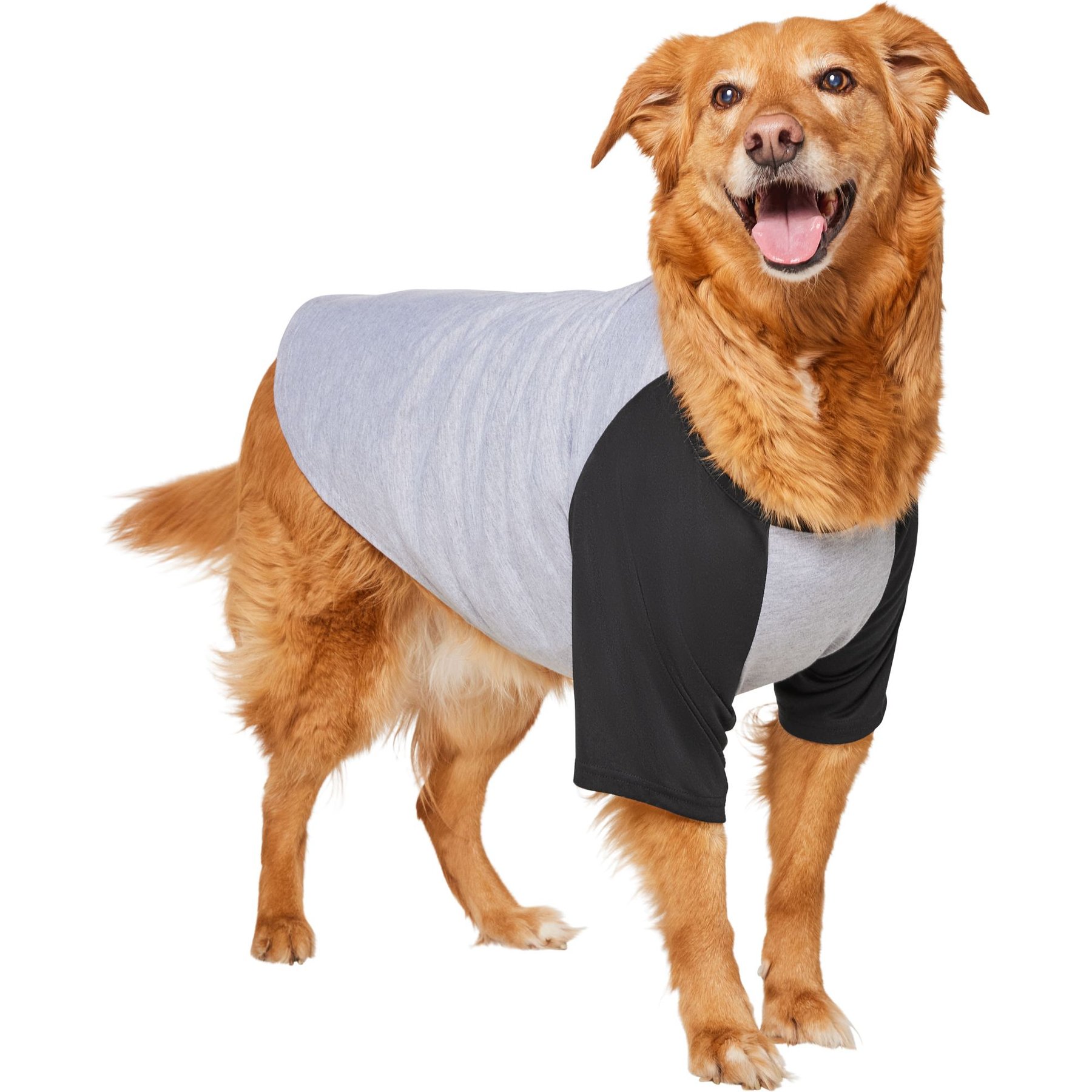Frisco Baseball Dog & Cat T-Shirt, Black, XX-Large
