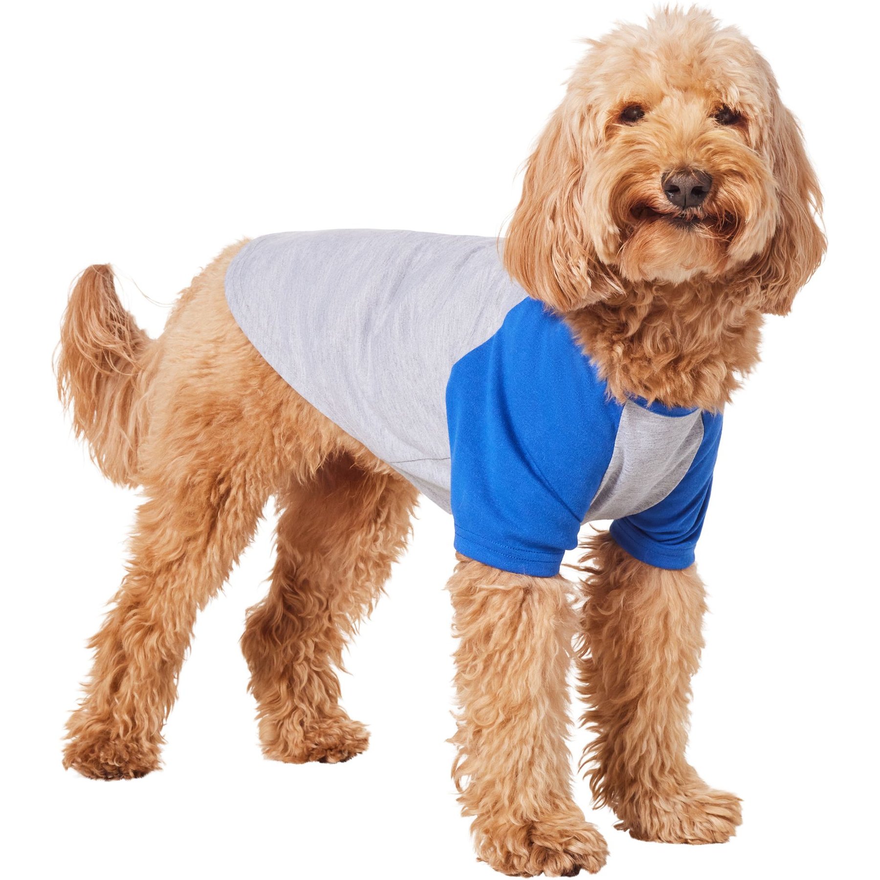 Frisco Baseball Dog & Cat T-Shirt, Blue, Large