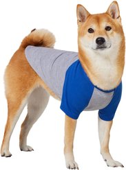 Frisco Baseball Dog & Cat T-Shirt, Blue, Medium