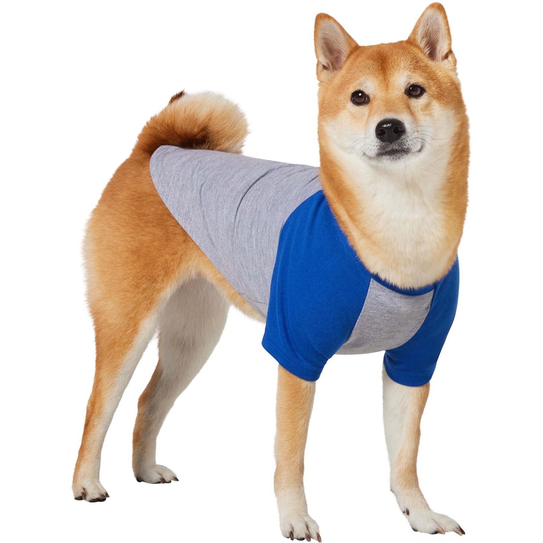 Frisco Baseball Dog & Cat T-Shirt, Blue, Medium