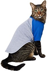 Frisco Baseball Dog & Cat T-Shirt, Blue, Small