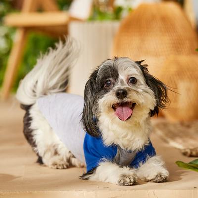 Show full view: Frisco Baseball Dog & Cat T-Shirt, Blue, Small slide 7 of 10