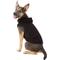 Show in main carousel: Frisco Basic Dog & Cat Hoodie, Black, Medium slide 3 of 10
