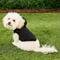 Show in main carousel: Frisco Basic Dog & Cat Hoodie, Black, X-Small slide 7 of 10