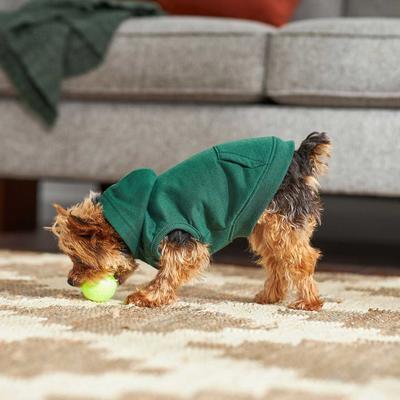Frisco Basic Dog & Cat Hoodie