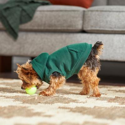 Show full view: Frisco Basic Dog & Cat Hoodie, Forest Green, XX-Large slide 8 of 11