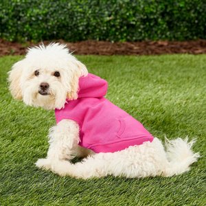 Frisco Basic Dog & Cat Hoodie, Pink, X-Small