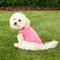 Show in main carousel: Frisco Basic Dog & Cat T-Shirt, Pink, X-Small slide 4 of 7