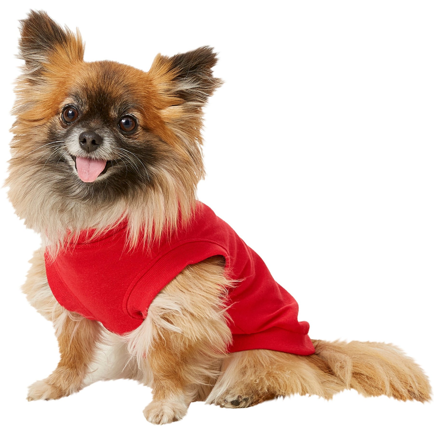 Frisco Basic Dog & Cat T-Shirt, Strawberry Red, Small