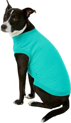 Show full view: Frisco Basic Dog & Cat T-Shirt, Teal, Large slide 3 of 8