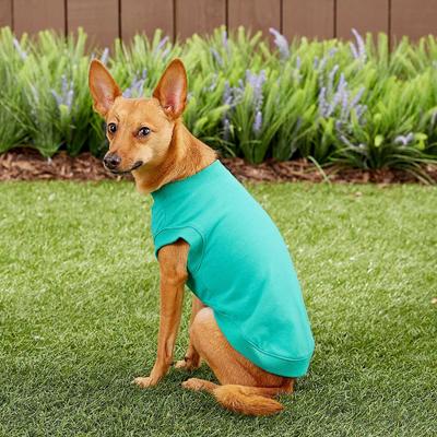 Show full view: Frisco Basic Dog & Cat T-Shirt, Teal, Large slide 5 of 8