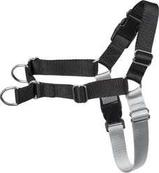Frisco Basic No Pull Harness, Black/Gray, LG